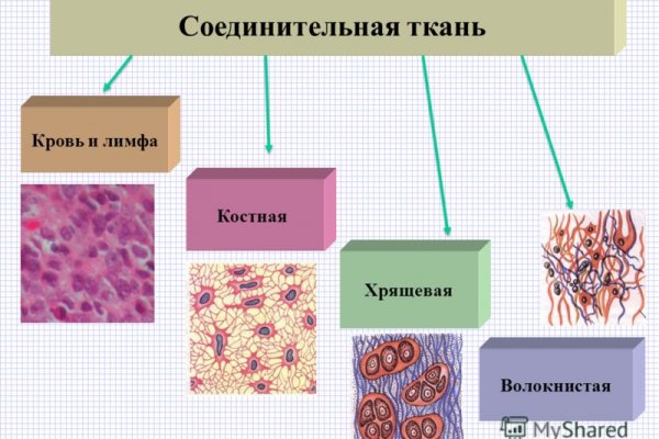 Как зайти на кракен с телефона