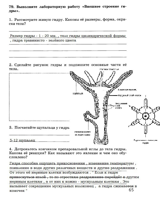 Кракен сайт kr2web